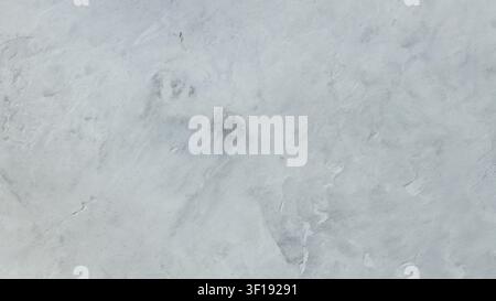 Light gray concrete texture background with soft veining for elegant design Stock Photo