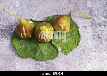Three fresh green and brown figs displaying natural patterns, resting on a single green leaf against a neutral background Stock Photo