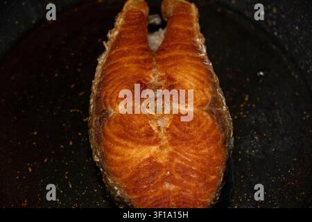 Close-up of pan-seared salmon fillet with crispy golden skin served on a white ceramic plate Stock Photo