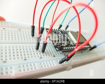 Microcontroller board with connected colorful jumper wires on electronic breadboard. Stock Photo