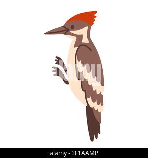 Pileated woodpecker profile bird vector illustration. Flat design woodland forest bird climbing isolated on white background. Great for nature Stock Vector