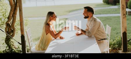 Two friends share laughter and clink glasses under a beautiful setting sun, surrounded by nature. Their joy lights up the tranquil scene. Stock Photo