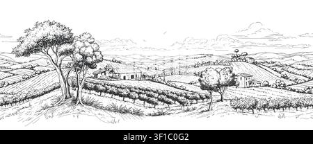 Brazilian coffee, panorama of a coffee plantation, hills, houses on the horizon. Digital illustration. Graphic pencil drawing, minimalism. Coffee Stock Vector