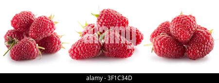 A collection of ripe red raspberries with green leaves isolated on white. Stock Photo