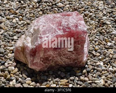Germany 2026 Large pink translucent rock rests among gray and tan river pebbles, showing rough mineral surface and soft color contrast for geology the Stock Photo
