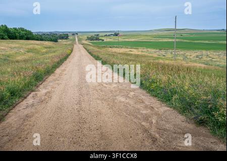 Meadow Creek Road with agricultural fields near Meadow, South Dakota, USA Stock Photo