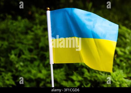 Blue over yellow Ukrainian flag waves on a slim pole before a lush green backdrop. Soft light shapes gentle folds as the fabric moves in the wind symb Stock Photo
