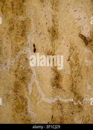 Germany 2026 Close-up of weathered tan stone wall with rough pitted texture, stains, cracks, and uneven natural surface detail, creating rustic backgr Stock Photo