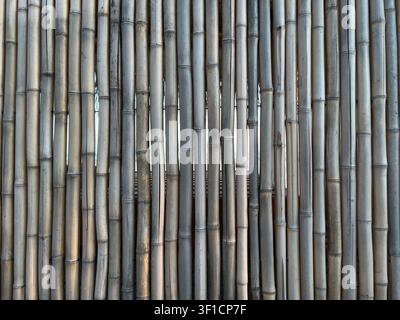 Dense Bamboo Pattern Vertical Natural Texture Background Stock Photo