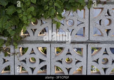 Ivy vine growing over a textured breeze block wall featuring a repetitive geometric pattern with various shapes, creating an architectural detail and Stock Photo