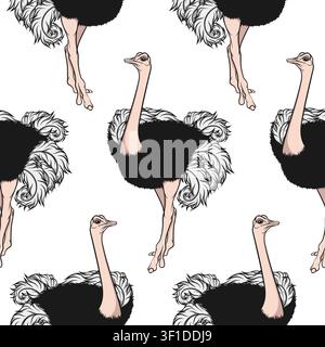 Seamless pattern with an African ostrich. Colored vector background. Stock Vector