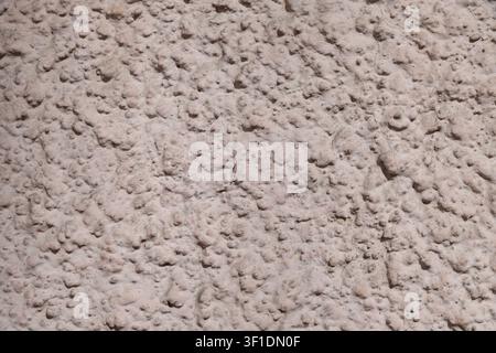 Textured beige stucco wall surface Stock Photo