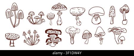 Mega mushroom clipart set with 15 woodland fungi varieties including fly agarics, chanterelles, porcini mushrooms, clustered mushrooms, and forest toadstools in clean outline style, versatile collection for stickers, coloring pages, packaging, scrapbooking, field guides, branding, and autumn themed design projects Stock Vector
