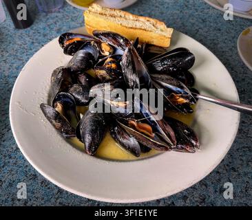 Fresh mussels steamed in a savory white wine and garlic broth, served on a white plate with a side of toasted bread. The glossy blue-black shells are Stock Photo
