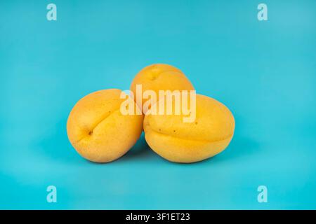 Whole Apricots Close-Up Isolated on Blue Surface Stock Photo