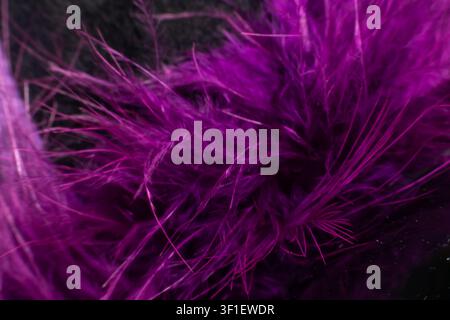 Closeup of vibrant purple feathers creating a soft textured background with rich color delicate details and elegant abstract pattern suitable for deco Stock Photo