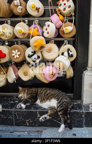 A street cat sleeps peacefully on a shop step on Istiklal Caddesi in Beyoglu, Istanbul, Turkiye. The well-fed tabby has classic black & brown markings Stock Photo