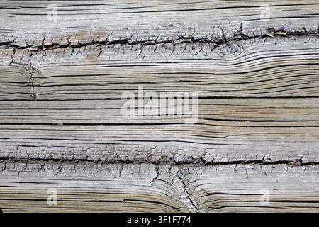 Rustic old gray wood plank background texture with extensive cracks and dry grain lines. Perfect for textures or design backdrops. Stock Photo