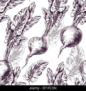 Beetroot vegetable pattern. Hand drawn ink illustration of beet plant with leaves. Graphic vintage engraving style sketch for culinary design, organic Stock Vector