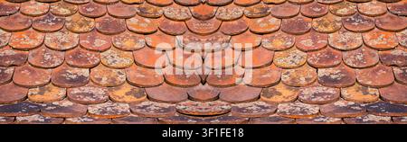 old ceramic shingle with lichens Stock Photo