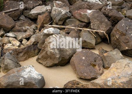 A close-up view of various sized rocks and pebbles scattered on a sandy shore, with a small piece of driftwood nestled among them Stock Photo