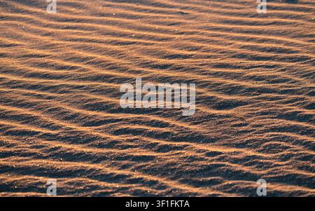 Golden Sand Ripple Texture on a Sunny Beach Stock Photo