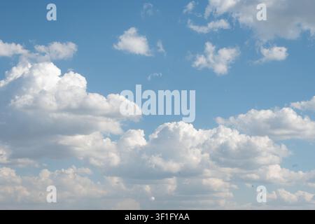 Horizontal view of a bright blue sky filled with large fluffy white cumulus clouds and small birds flying in the distance. Excellent for sky backgroun Stock Photo
