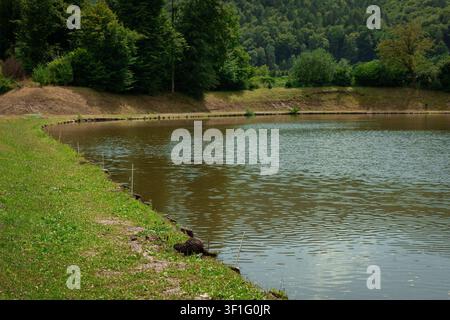 Panoramic view of a tranquil pond near Radece, surrounded by dense green forest and rolling hills, with two people walking along a gravel path in the Stock Photo
