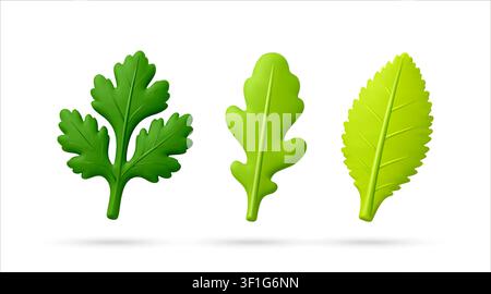 Set of 3D green leaves icon Stock Vector