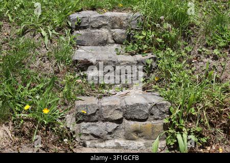 rustic stairs, uneven weathered stones, moss, dirt, nestled into embankment (close-up, grass, wildflowers) Stock Photo
