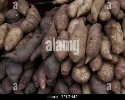 Close up of thai sweet potato Stock Photo