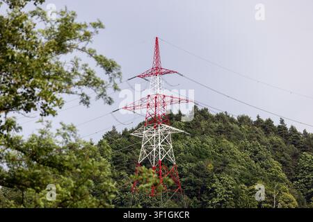 High voltage lines cross the forest, delivering electricity across long distances through the grid. Stock Photo