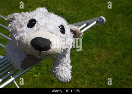 Wet White Polar Bear Dog Toy Drying On Airer In Garden Stock Photo