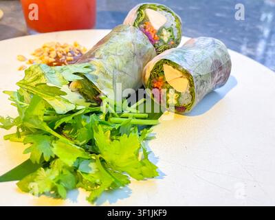 Two fresh Vietnamese spring rolls wrapped in translucent rice paper are placed on a white plate alongside fresh cilantro and herbs, with peanut dipping sauce visible on the side. Stock Photo