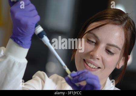 A female scientist using a pipette in a lab. Stock Photo