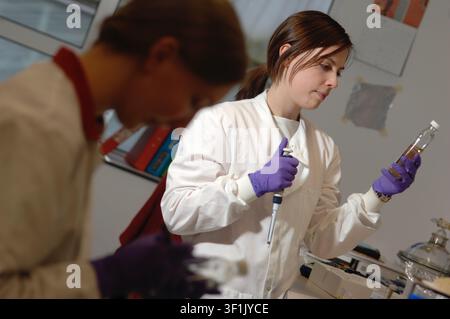 A female scientist using a pipette in a lab. Stock Photo