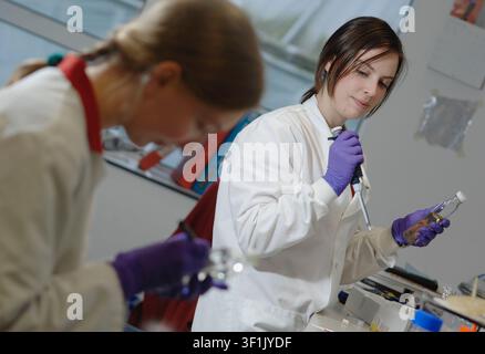 A female scientist using a pipette in a lab. Stock Photo