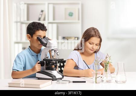 Children sitting at a desk and using a microscope Stock Photo