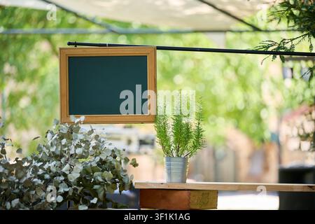 Blank chalkboard in a wooden frame hanging from a metal rod, ready for custom text, surrounded by fresh rosemary and eucalyptus in an outdoor setting Stock Photo
