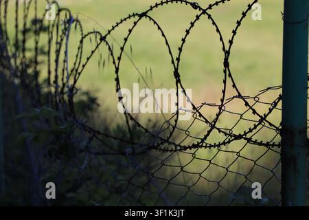 Barbed Wire Fence Silhouette Against a Green Blurred Background Stock Photo