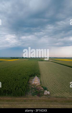 A massive, powerful summer storm looms over vast fields, creating a dramatic scene. Vojvodina, Serbia, Europe Stock Photo