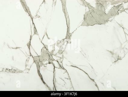 A premium white marble surface showcasing prominent and dramatic dark grey and black veins. Stock Photo