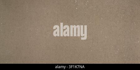 A detailed view of a taupe brown limestone slab with visible small fossilized fragments. Stock Photo