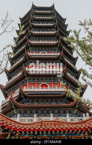Low angle view of a traditional multi tier Chinese pagoda with ornate red and blue details, framed by tree branches against a pale sky. Stock Photo
