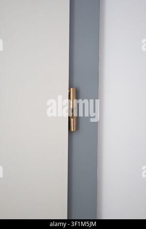 A vertical, close-up shot focusing on a golden metal screw-in hinge attached to a minimalist white door leaf and its grey-painted frame, set against a Stock Photo