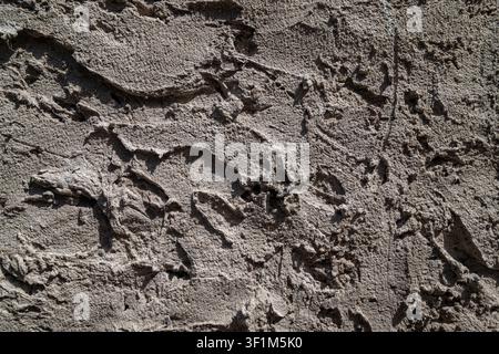 Close up of a rough grey concrete wall texture with deep shadows and trowel marks Stock Photo