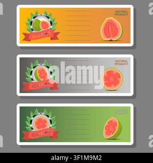 Illustration on fruit theme from set juicy delicious guava of various sizes, fruit guava consisting of juicy organic food, collection guava in juicy f Stock Vector
