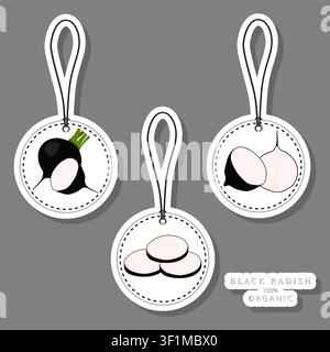 Illustration on theme of set tasty natural eco product vegetable radish, pattern consisting of kit various options meal vegetable radish, abstract com Stock Vector