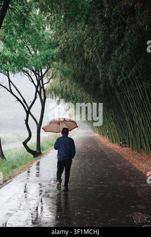 Lonely middle-aged man walking alone with an umbrella along a rainy bamboo path Stock Photo