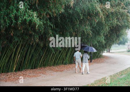 Simple and healthy middle-aged lifestyle with two adults enjoying a barefoot walk beside a bamboo forest in the rain Stock Photo
